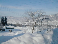雪に埋もれる庭・1月