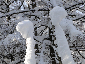 背高のっぽのおじさんが二人・雪の造形