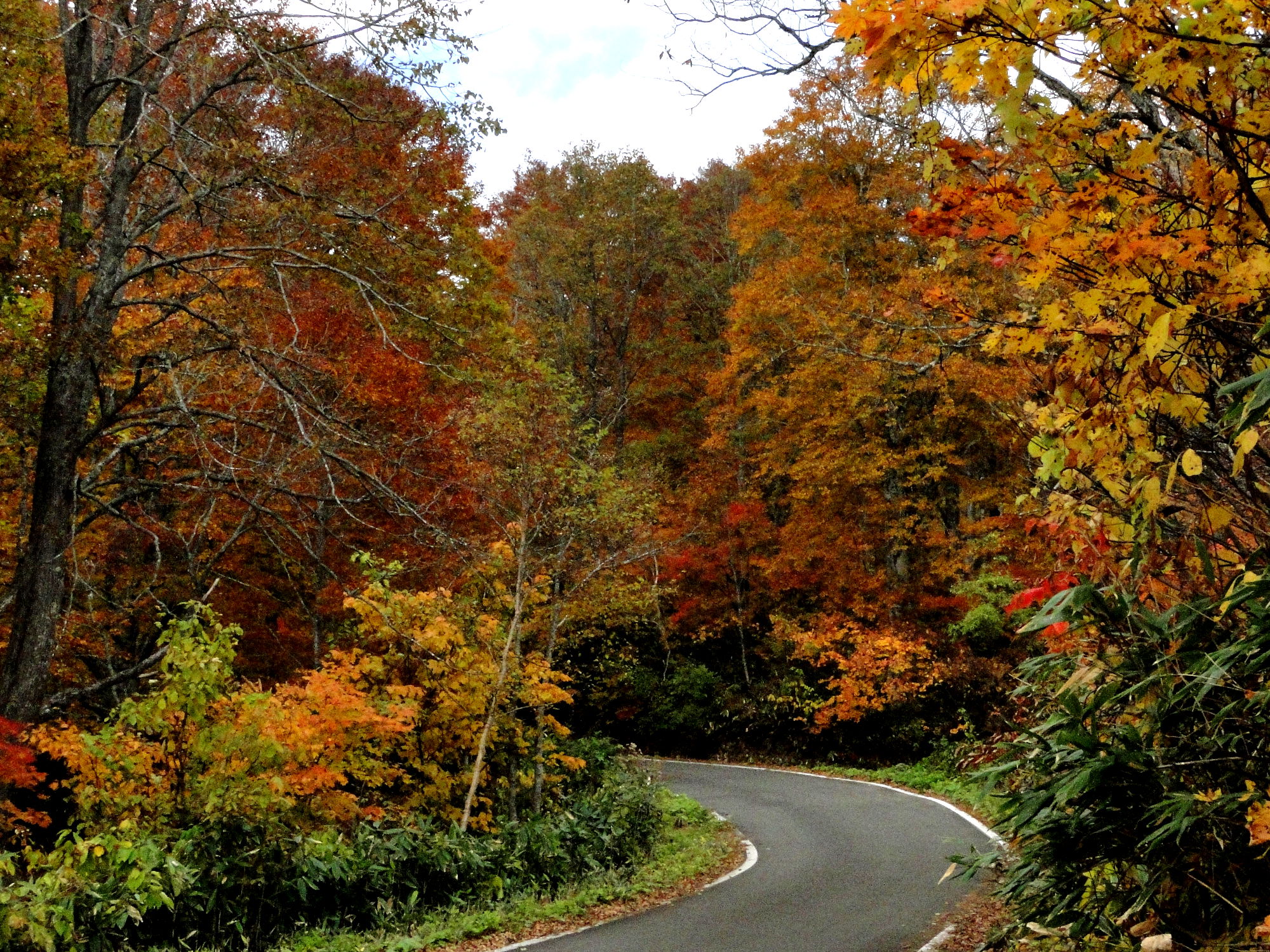木島平村とその周辺の紅葉が綺麗なドライブコース
