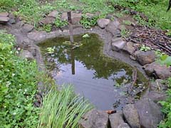拡張した池