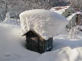 庭にある子供の遊び小屋に積もった雪